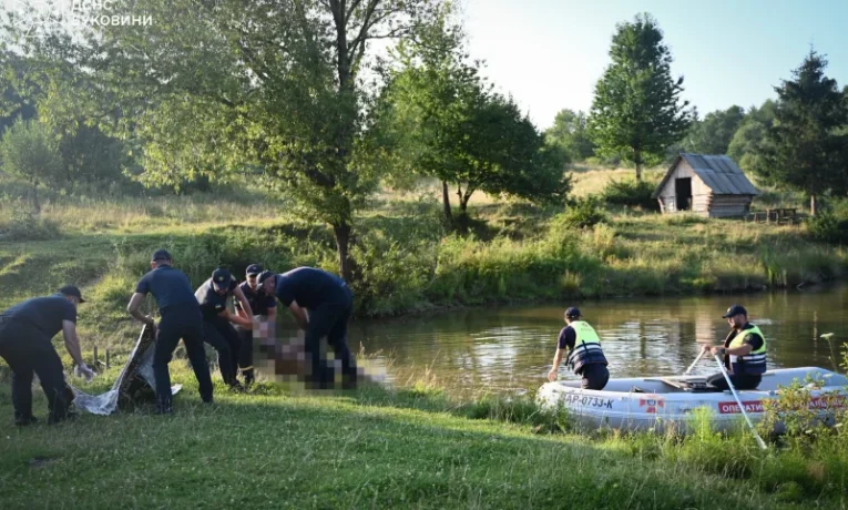 На Буковині у ставку потонули двоє чоловіків, 8-річну дівчинку вдалося врятувати