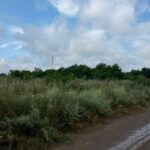 У громаді на Буковині планують здати в оренду понад 2 га землі на дорозі в напрямку кордону з Румунією