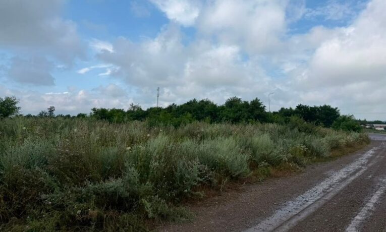 У громаді на Буковині планують здати в оренду понад 2 га землі на дорозі в напрямку кордону з Румунією
