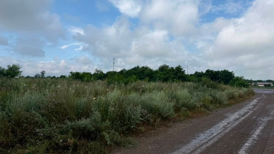 У громаді на Буковині планують здати в оренду понад 2 га землі на дорозі в напрямку кордону з Румунією