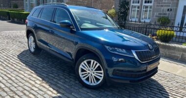 Від Renault за 747 тисяч до старих ВАЗів: які службові авто мають міськради Буковини