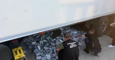 На Буковині під виглядом картопляних чіпсів намагалися вивезти за кордон понад 11 тисяч пачок сигарет