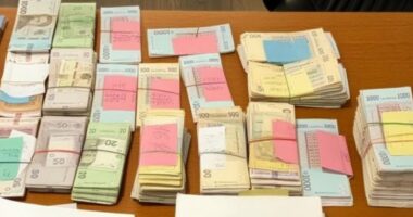 На Буковині підприємець через дроблення бізнесу не сплатив понад 15 млн грн податків