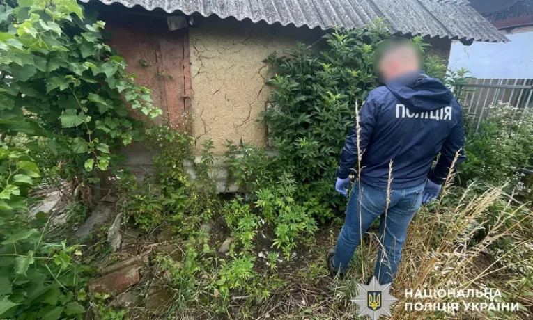На Буковині під час спецоперації «Джентльмени» вилучили 2,5 кг канабісу та понад 200 кущів конопель