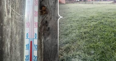 На Буковині зафіксували перші заморозки: у Верхньому Яловці було до -3 °C
