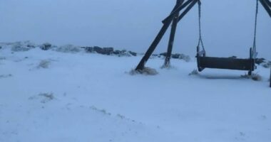 На Чорногорі випав перший сніг: на горі Піп Іван зафіксували -1°C (фото)