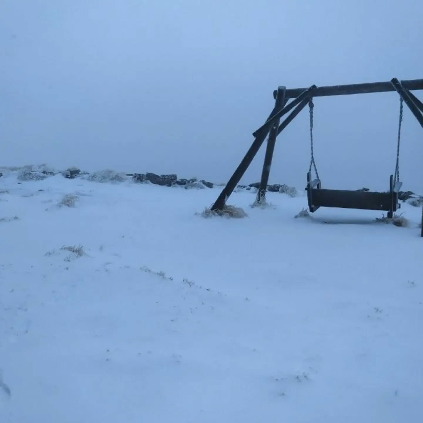 На Чорногорі випав перший сніг: на горі Піп Іван зафіксували -1°C (фото)
