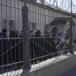 На Буковині 37 засуджених із Сокирянської колонії долучилися до Сил оборони від початку року