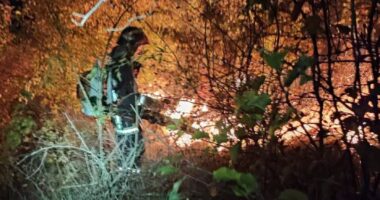 На Буковині рятувальники ліквідували пожежі сухої трави на площі понад 8 гектарів