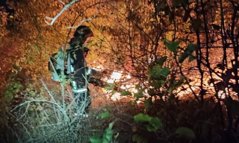 На Буковині рятувальники ліквідували пожежі сухої трави на площі понад 8 гектарів