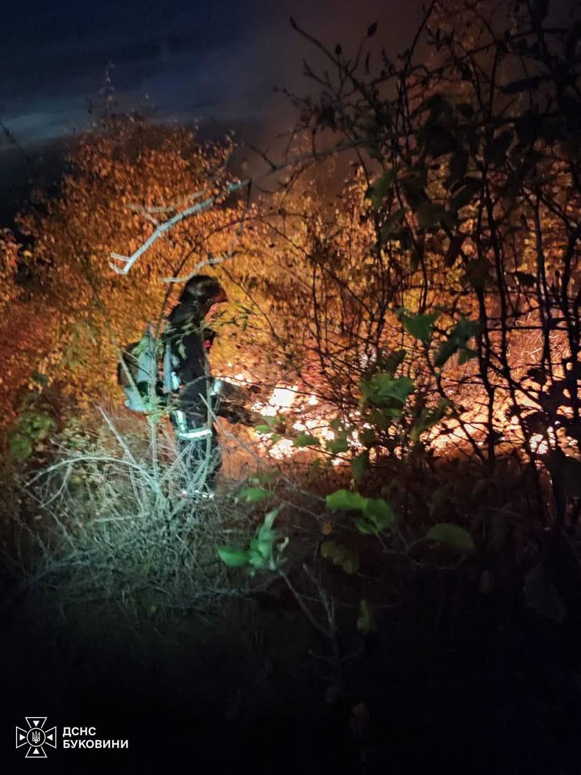 На Буковині рятувальники ліквідували пожежі сухої трави на площі понад 8 гектарів