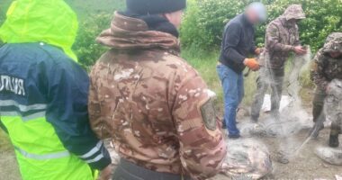 На Буковині трьох чоловіків судитимуть за незаконний вилов 67 рибин