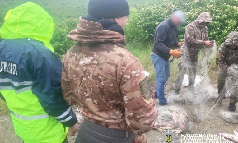 На Буковині трьох чоловіків судитимуть за незаконний вилов 67 рибин
