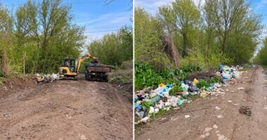 Сміття на Буковині: де майже всі домогосподарства мають договори, а де — менш як 10%