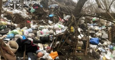 На Буковині через суд вимагають ліквідувати чотири несанкціоновані сміттєзвалища в Остриці