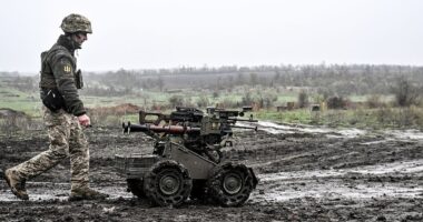 Понад 170 учителів із Буковини долучилися до Сил оборони: п’ятеро загинули